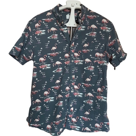 Sonoma Flamingo Button Down - Picture 1 of 4